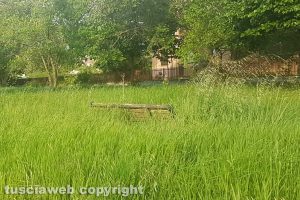 Viterbo - Una panchina tra le erbacce