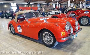 Viterbo - Mille Miglia - La Jaguar XK120 SE di Massimo Saggini e Domenico Struzzi
