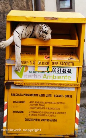 La "tigre" a Piazza Verdi 