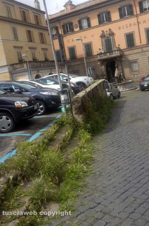 Viterbo - L'erba alta a piazza Dante 