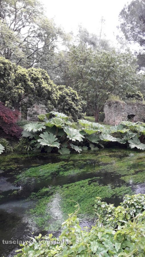 I giardini di Ninfa