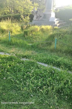 Viterbo - Erba alta a Pratogiardino Lucio Battisti