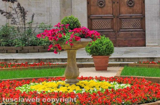 Pienza in fiore, le foto di Maria Rosaria Carobelli
