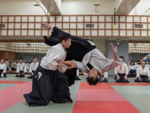 Amsterdam - International Budo Seminar