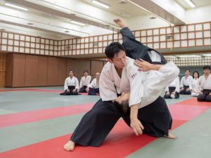 Amsterdam - International Budo Seminar