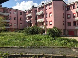 Erbacce ad Acquapendente
