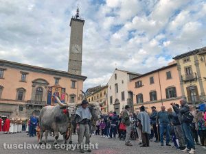 Viterbo - La processione del santissimo Salvatore sfila per le vie del centro