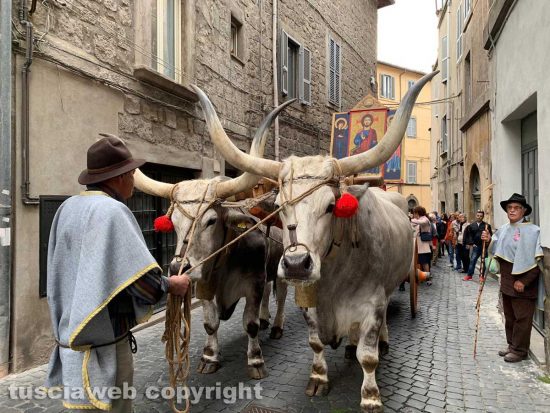 Viterbo - La processione del Santissimo Salvatore sfila per le vie del centro