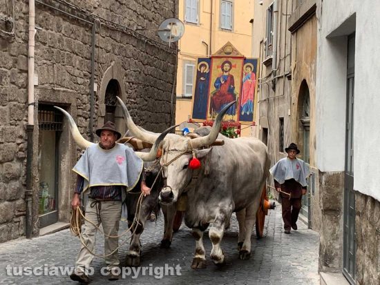 Viterbo - La processione del Santissimo Salvatore sfila per le vie del centro