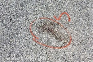 Vitorchiano - Il sangue sull'asfalto dopo il tentato omicidio 