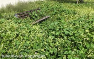 Il parco del Carmine