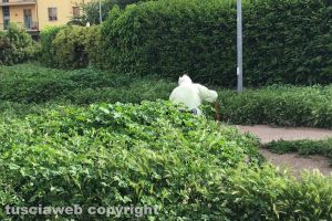Il parco del Carmine