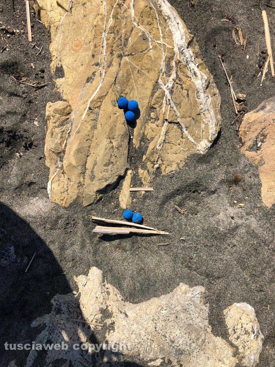 Tarquinia - Rifiuti sulla spiaggia