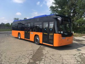 I bus Francigena a Bologna
