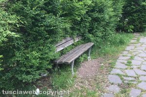 Viterbo - Incuria al parco del Carmine