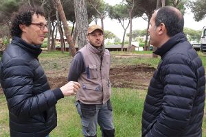 Montalto di Castro - I lavori alla pineta