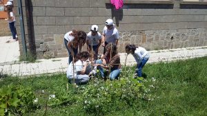 Viterbo - Un momento dell'evento Ortolando