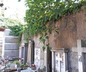 Viterbo - Cimitero San Lazzaro - Le piante di fico invadono le tombe