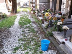 Viterbo - Cimitero San Lazzaro - Le erbacce invadono le tombe