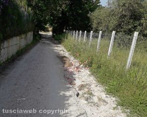 Viterbo - Degrado in strada Salemme