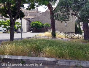 Viterbo - Erba alta al parcheggio del Sacrario