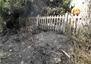 Tarquinia - Incendio vicino alla stazione