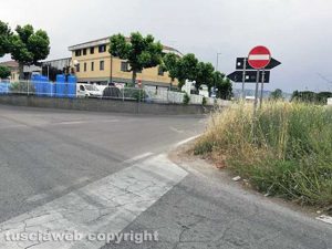 Viterbo - Poggino - Scarsa visuale a causa dell'erba alta