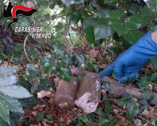Viterbo - Carabinieri - Operazione Underground - La droga sequestrata