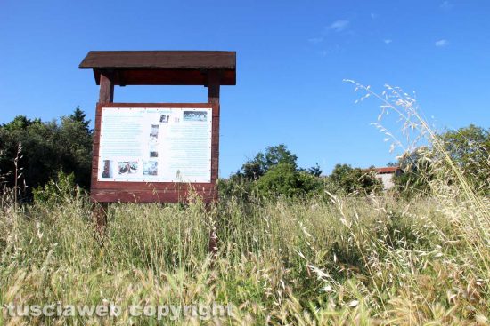 Viterbo - La zona delle case popolari a sud
