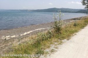 Montefiascone - Le erbacce sul lungolago