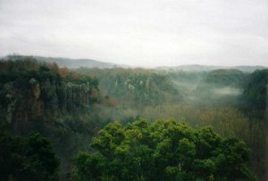 Parco marturanum - Vallone