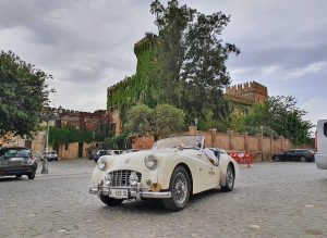 Motori - Raid degli Etruschi