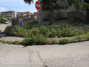 Viterbo - Erbacce e strade dissestate al Murialdo
