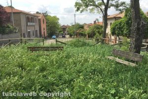 Viterbo - Erba alta a Tobia