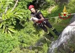 San Marino - I vigili del fuoco salvano un levriero 