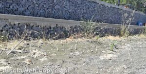Montefiascone - Il degrado sul lungolago