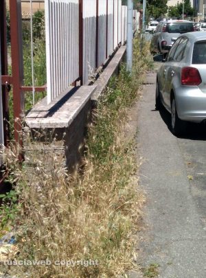 Viterbo - Degrado in via Grispigni