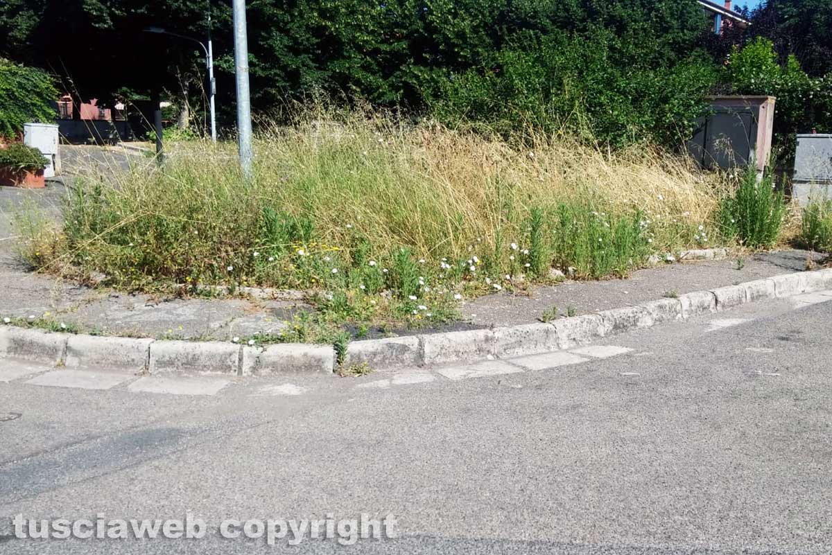 Via Degli Artiglieri Magnifico Esempio Di Giardino All Inglese Tusciaweb Eu