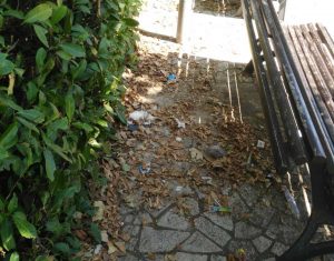 Orte - I giardinetti 