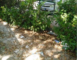 Orte - I giardinetti 