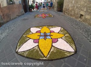 Bolsena - I preparativi dell'infiorata del Corpus Domini