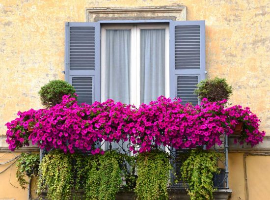 Ronciglione - Balcone in fiore