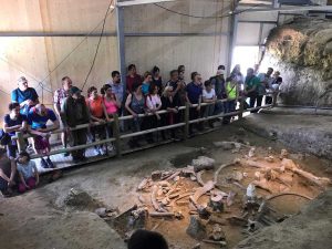 A Bagnoregio si cammina “sulle orme degli elefanti”