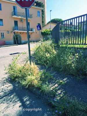 Viterbo - Degrado in via Caduti IX Stormo