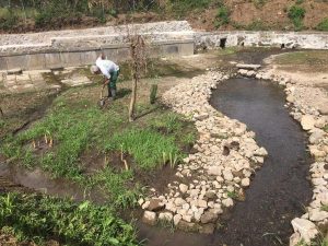 Fossato callo, lavori di sistemazione a cura dell'orto botanico Angelo Rambelli