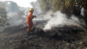 Tarquinia - Incendio in località Pantano - L'Aeopc in azione