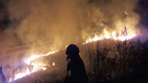 Tarquinia - Incendio in località Pantano