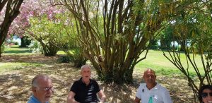 L'iniziativa all'isola Martana