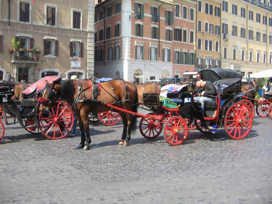 Roma - Una caratteristica botticella