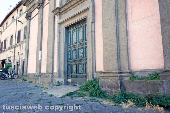 Viterbo - Erbacce al tribunale vecchio